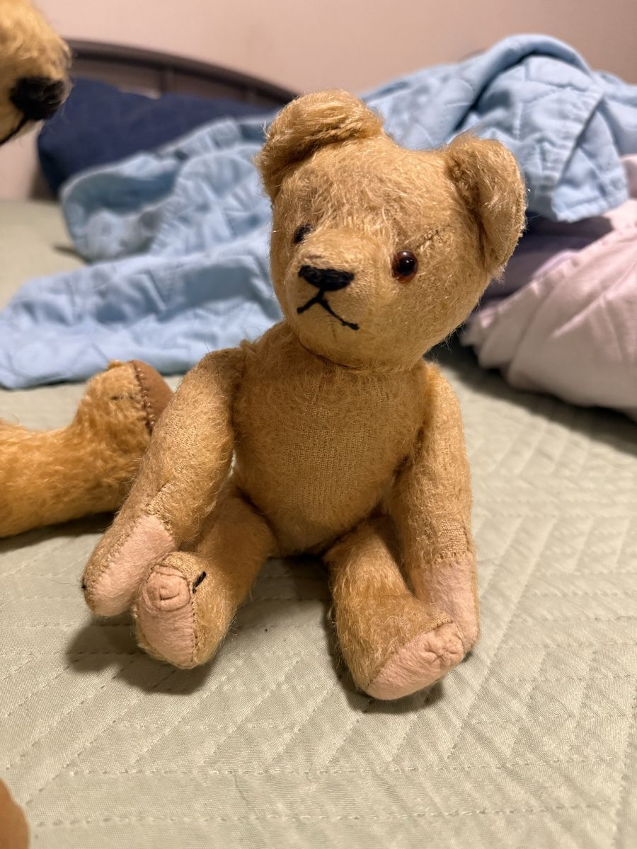 Steiff Bambole: antiken Bären Mohair Petz – Usato da Wattwil venduto da amm_rw6l 1