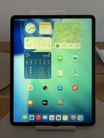iPad Pro 12,9 Zoll (3. Generation) – 256 GB 