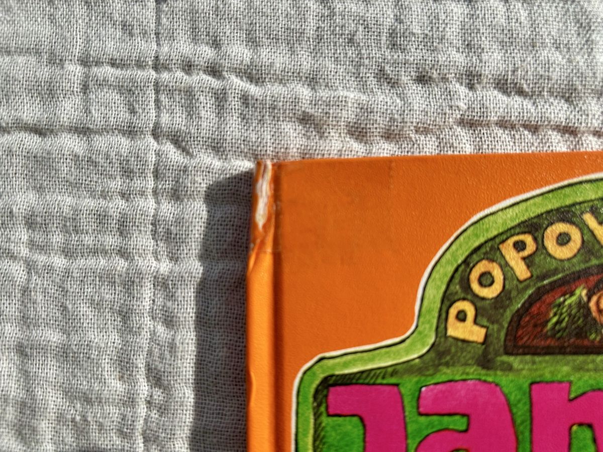 Libri: Janosch Kinderbücher Set: "Traumstunde" & "Märchenkiste" – Usato da Wolhusen venduto da eve_m6cg 4