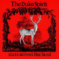 CD The Duke Spirit - Cuts across the land (2005)