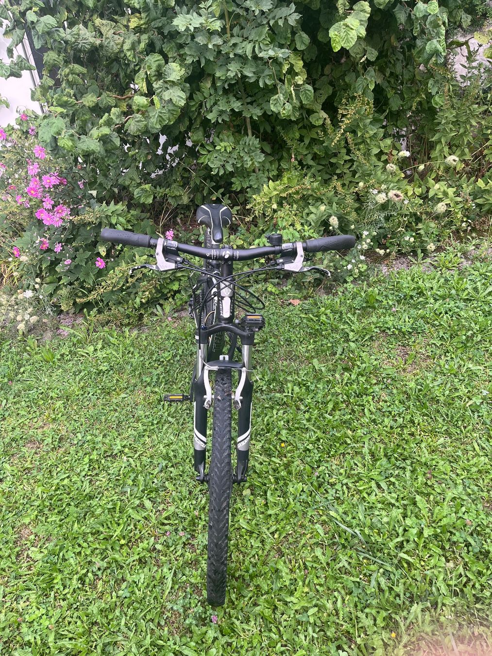 Trek Velos: TREK X-Caliber 8 hardtail – Gebraucht aus Rickenbach SZ von mor_bpq5 3