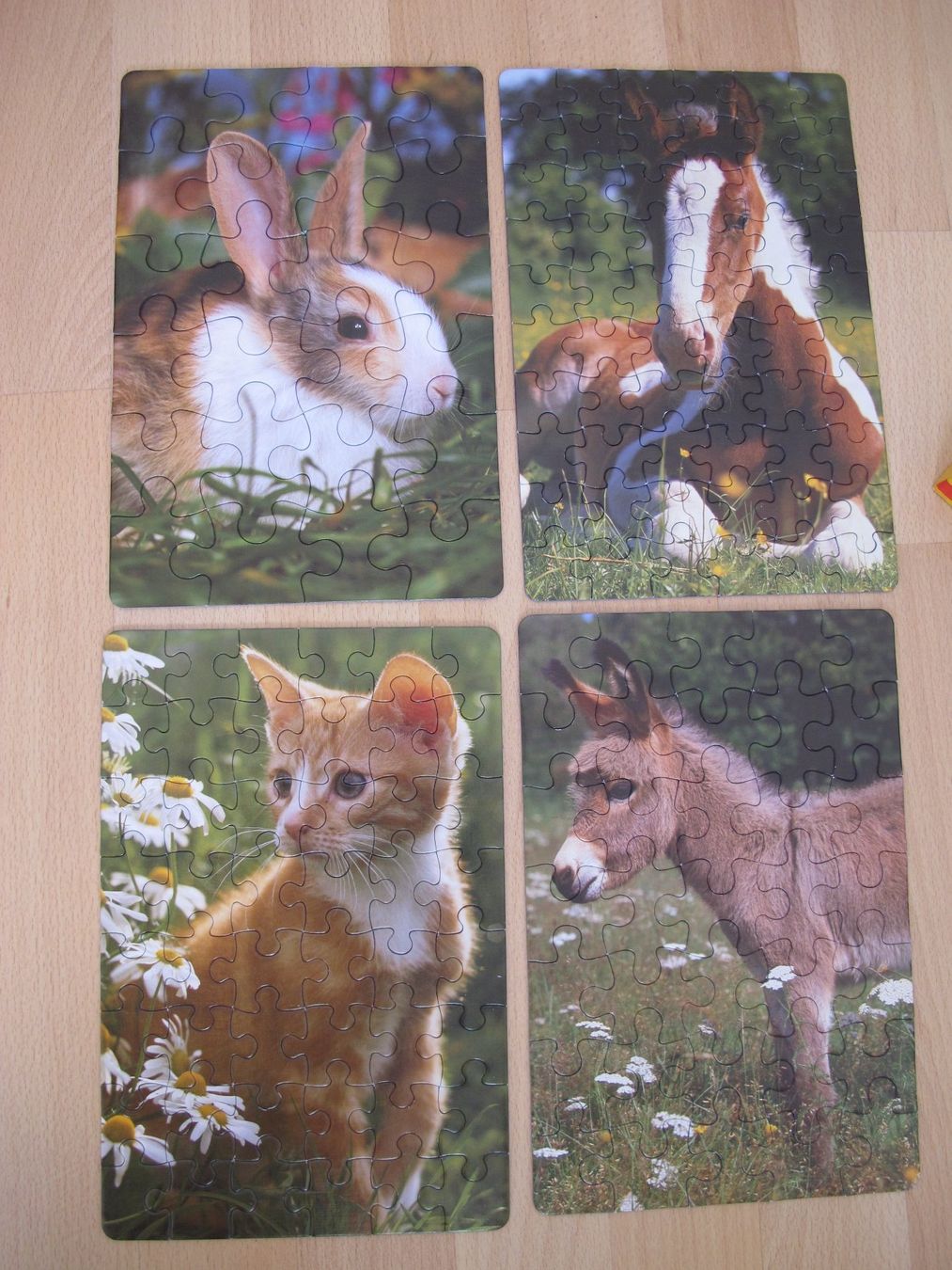 Puzzle: Puzzle Collection Animals, 24-60 Teile – Usato da Rheinfelden venduto da zwitschi_09 2