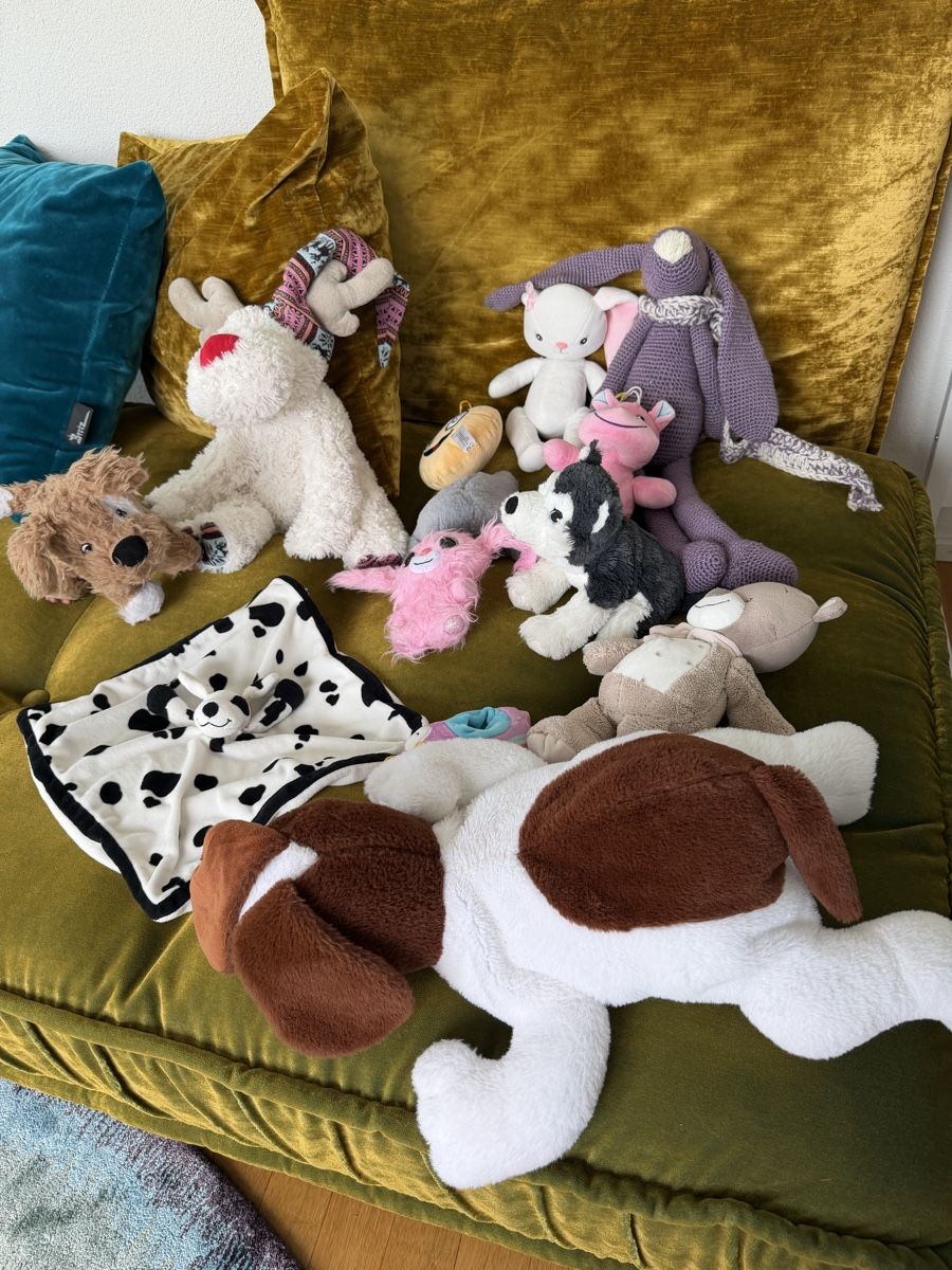 Spielzeuge: Kinderpaket: Plüschtiere/ Stofftiere/ 13 St – Gebraucht aus Zumikon von DamenFashionShop 5