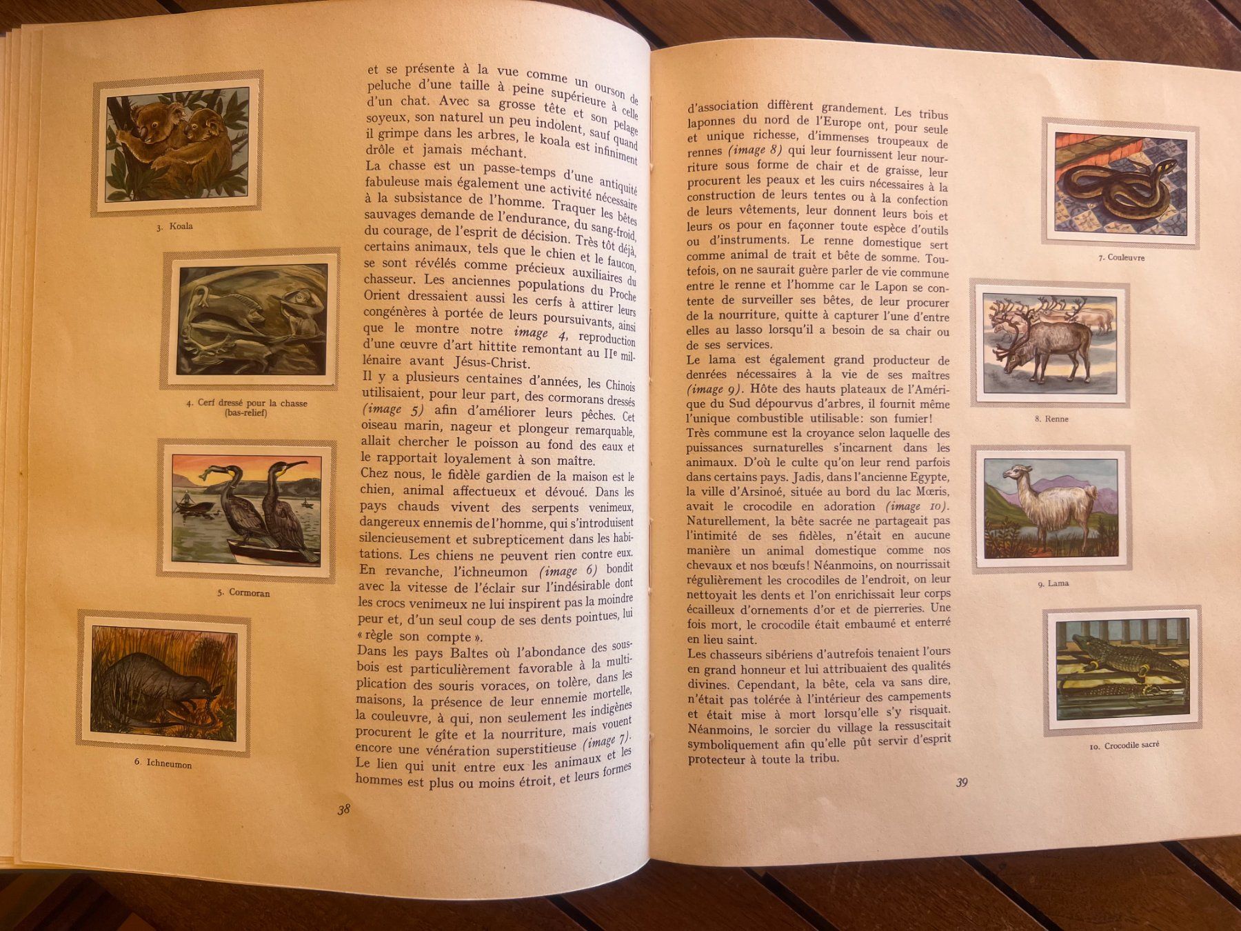 Alben: Album Nestlé avec vignettes collées – Gebraucht aus Savigny von ron_q529 7