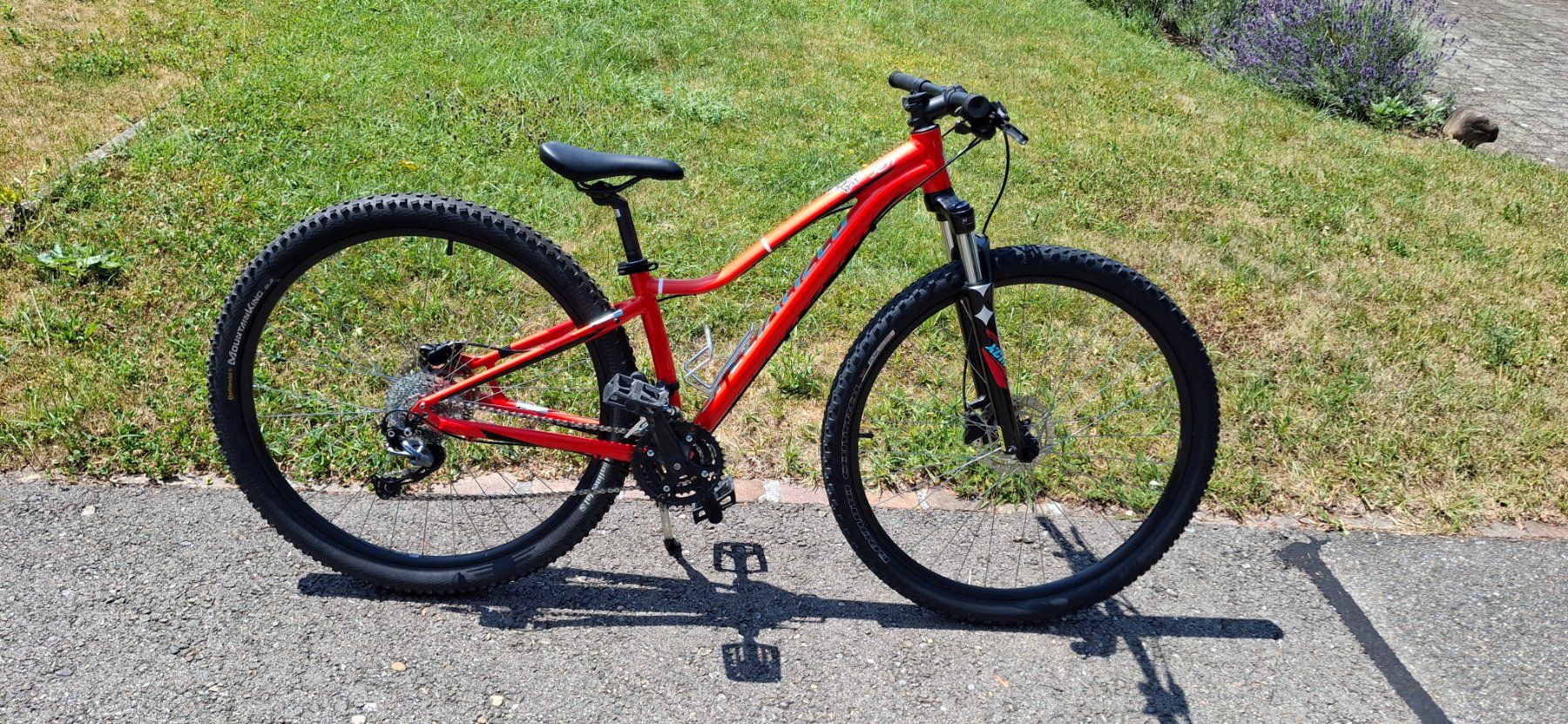 Specialized Vélos: Specialized 37cm 29"Räder – D'occasion à Kyburg par JBMNT2020
