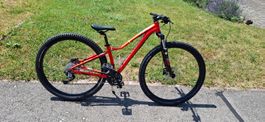 Specialized 37cm 29"Räder