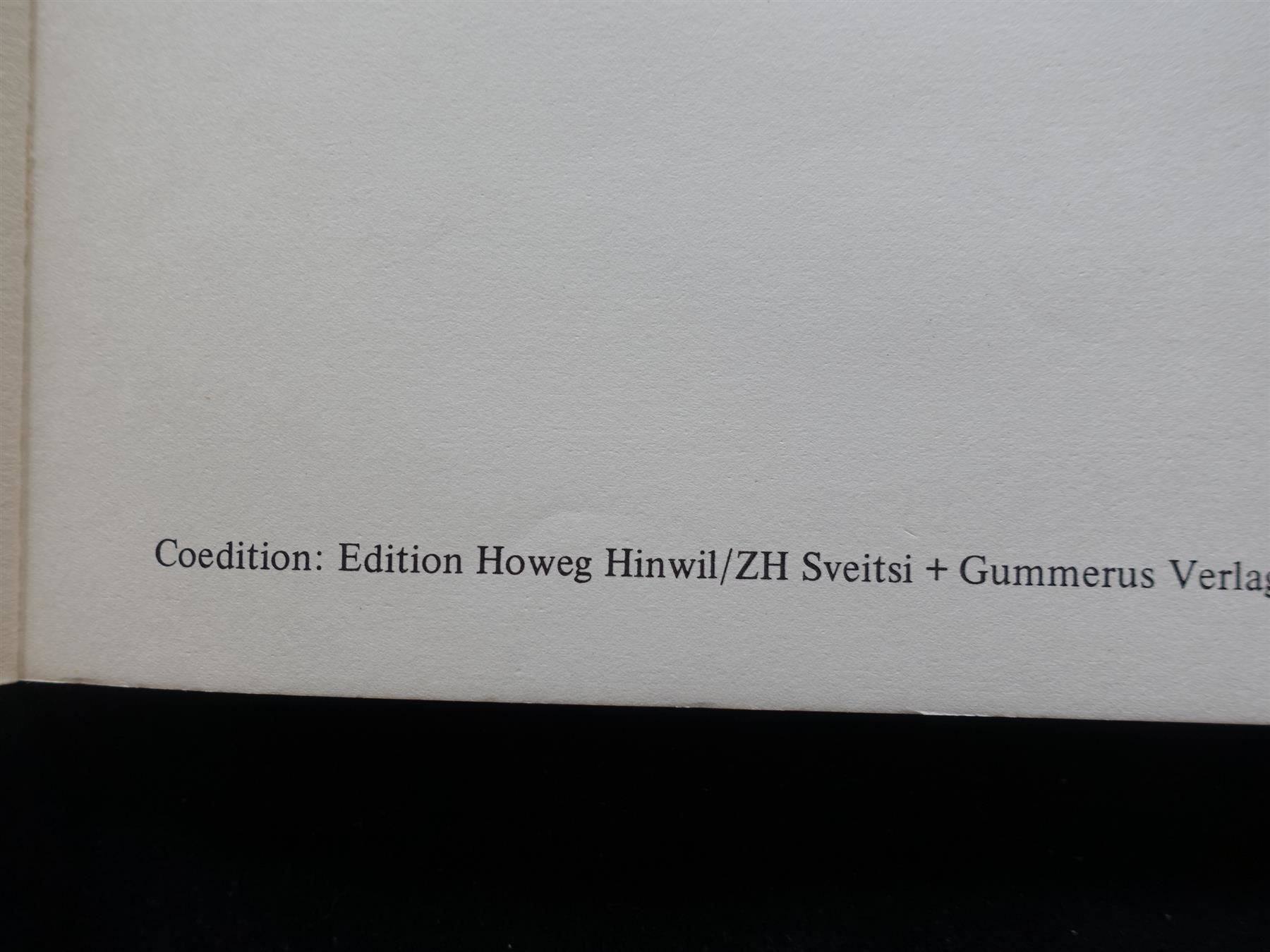 Libri: Talven Ainoa Valo / signiert – Usato da Gutenswil venduto da Optico 2