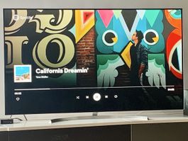 LG OLED TV 65" (OLED65B7V)