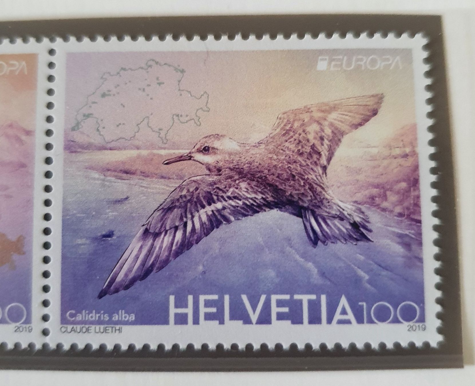 Tutti i francobolli: 2019  Europamarke Vögel  ** – Usato da Alten venduto da Regenwasser 2