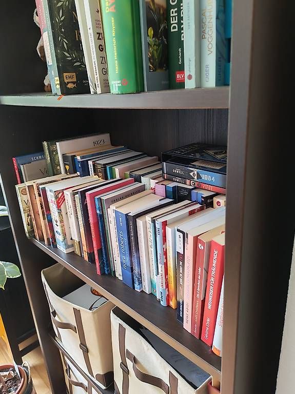 Ikea Scaffali: Bücherregal Dunkelbraun – Usato da Chur venduto da tol_xvw8 1