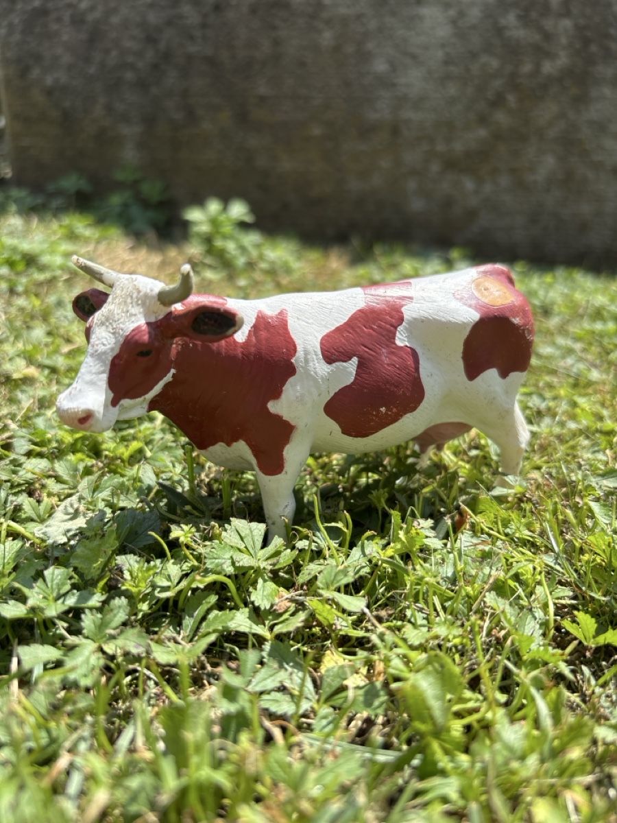 Tiptoi Statuette: Ravensburger tiptoi Figuren – Usato da Widen venduto da Webru80 1