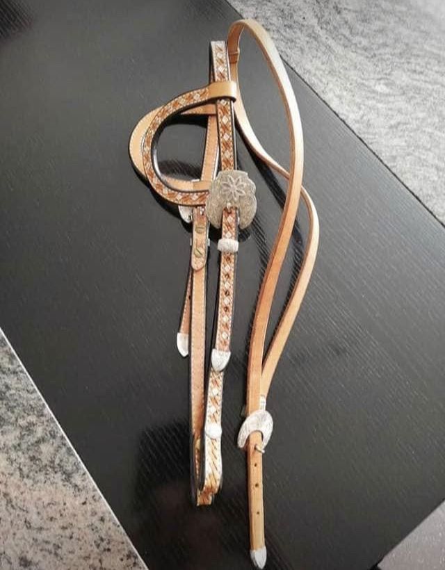 Zaumzeug & Halfter: Showzaum – Gebraucht aus Boniswil von MichaelaH