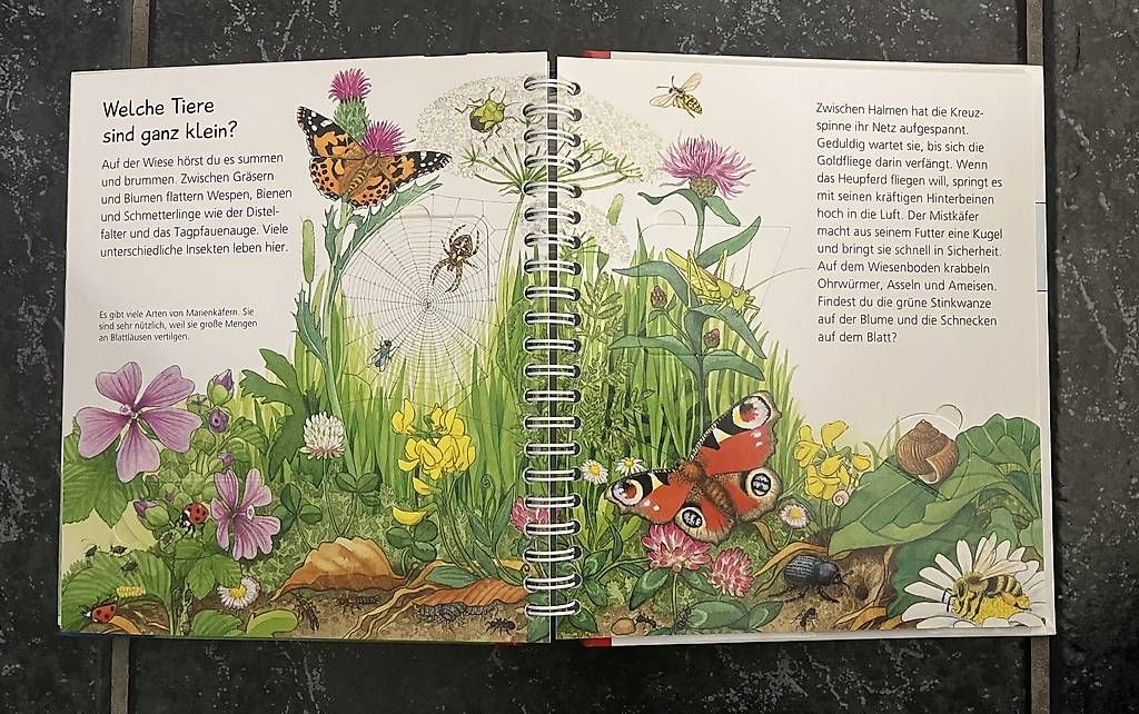Libri: Ravensburger Kinderbuch: Tiere bei uns – Usato da Kirchberg BE venduto da qualle01 3
