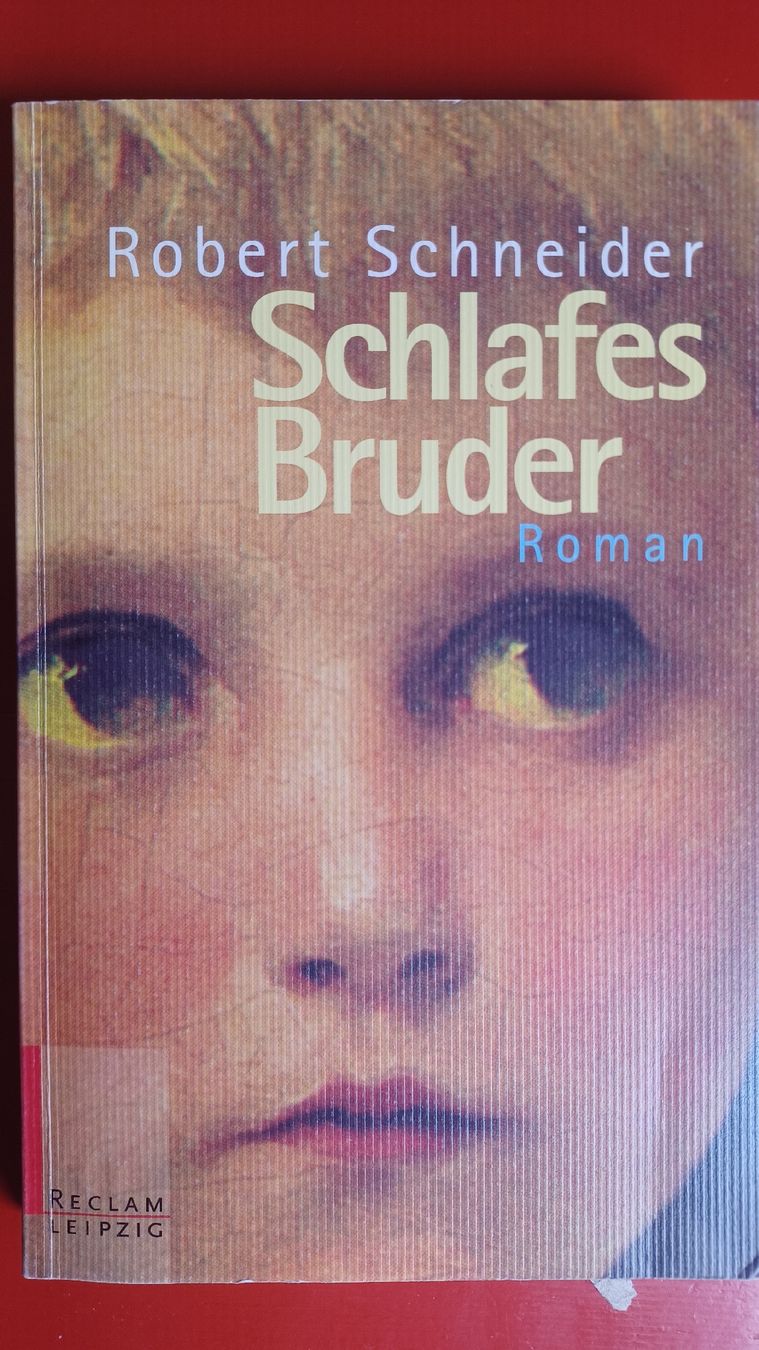 Libri: Robert Schneider, Schlafes Bruder – Usato da Watt venduto da Wfifi