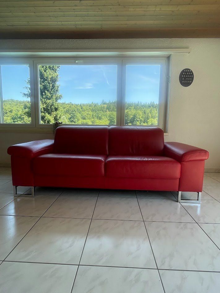 Sofas: Sofa – D'occasion à Dättwil AG par rico_renold 5