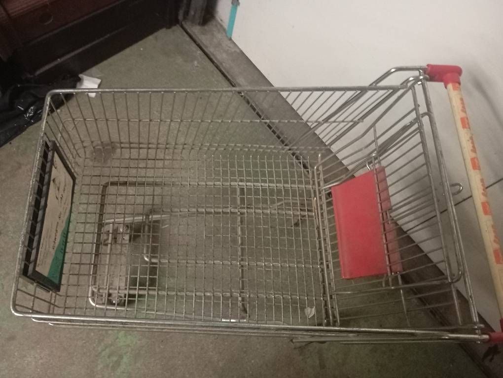 Altro per la casa: Einkaufswagen - Ideal für Garten, Keller oder Flohmarkt! – Usato da Basel venduto da Petergunn 1