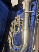 Tenorhorn Courtois