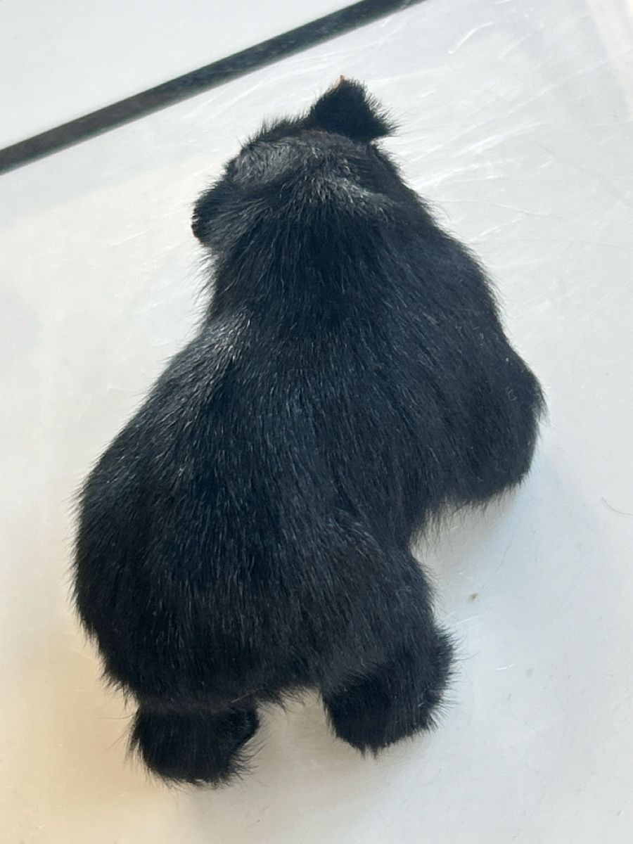 Statuette: Stuffed bear toy black approx.(S21) – Usato da Neuenhof venduto da bro_9zsg 1