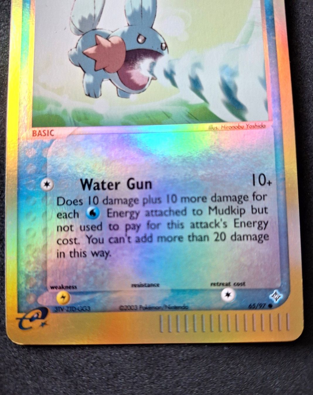 Pokémon Carte collezionabili: Mudkip [Reverse Holo] #65 Pokemon Dragon – Usato da Sugiez venduto da eLCangri90 1