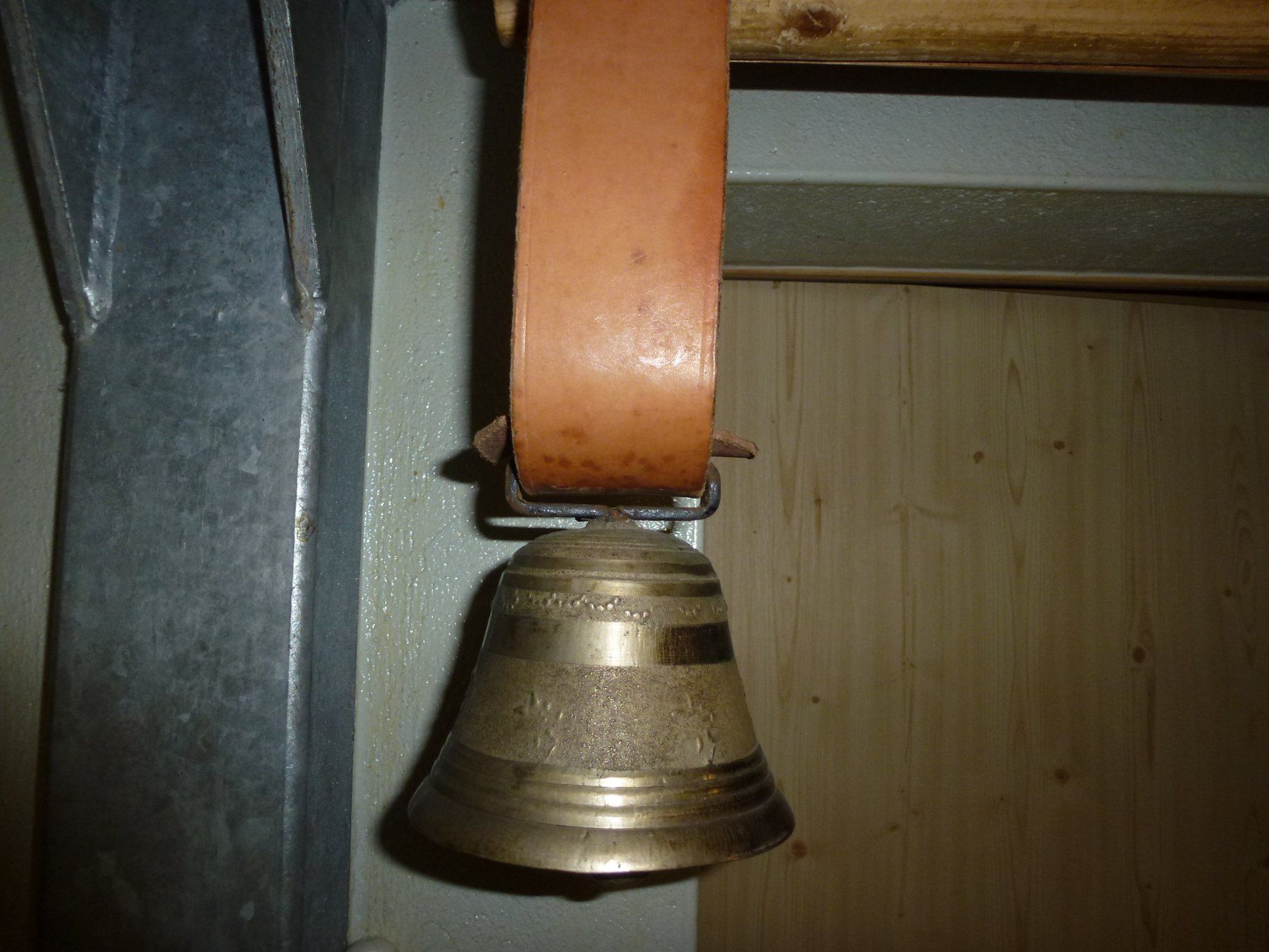 Campanacci mucche: Grosse Glocke für Schafe – Usato da Bürglen UR venduto da daisyxy5 3