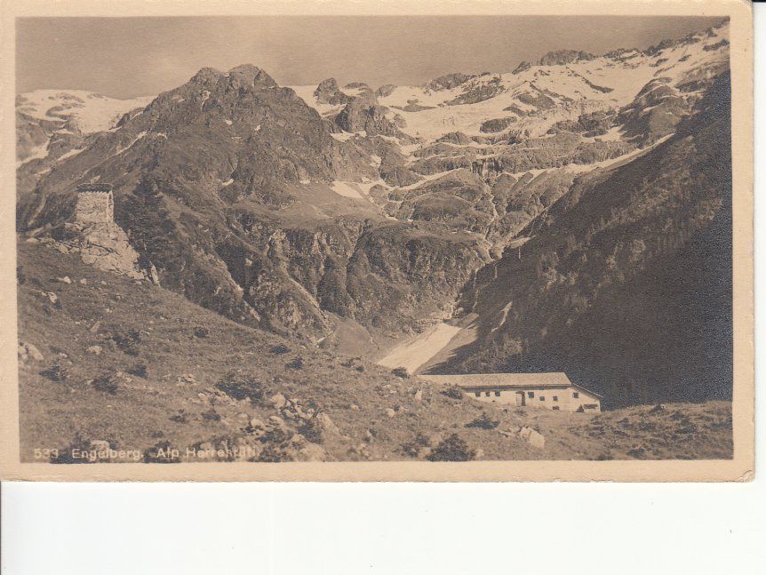 Cartoline postali: Herrenrüti, ca. 1910 – Usato da Bürglen TG venduto da StampGraf