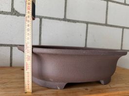 Grosse Bonsaischale oval unglasiert  praktisch ungebraucht