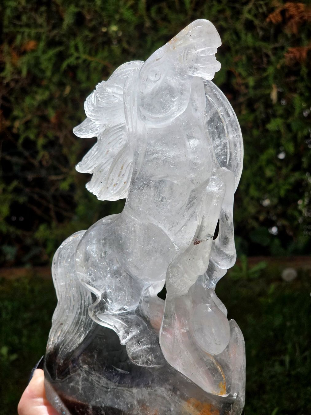 Minerali & Pietre curative: Wunderbares Bergkristall Lodolith Pferd 2kg – Nuovo e nell'imballaggio originale da Matzingen venduto da Shay_Crystalz 1