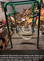 Kuhlift Zuverkaufen wen Kuh am Boden ist in jedem Stall