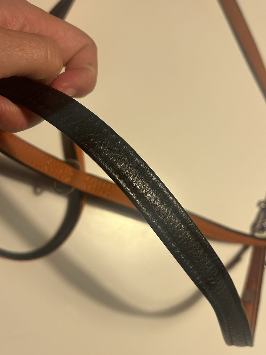 Guinzagli & Collari: Laisse/collier pour chien HUNTER cuir  – Nuovo (secondo la descrizione) da St-Prex venduto da mar_f6t6 4