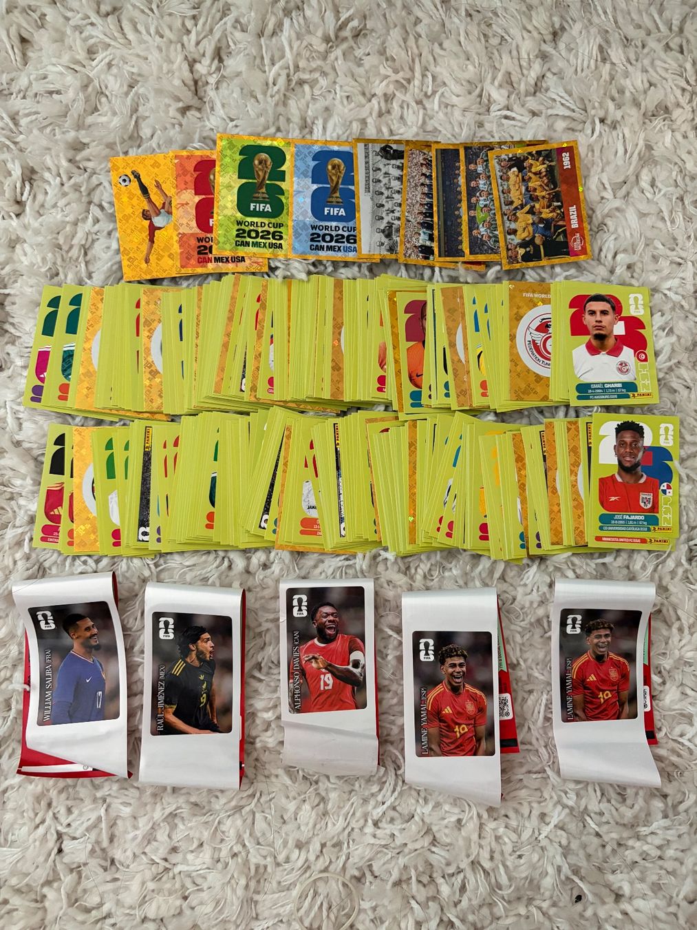 Panini Carte collezionabili: 400 Panini WM 2026 Sticker – Nuovo (secondo la descrizione) da Zürich venduto da edelproben