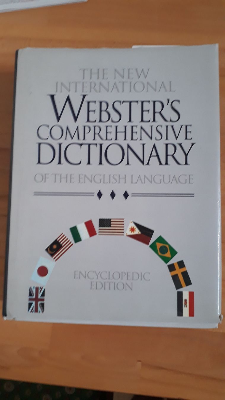 Libri: Webster's Comprehensive Dictionary – Usato da Zürich venduto da wildflower26