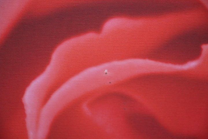 Foto & Immagini: Fotoleinwanddruck 60 x 80 cm – Usato da Eschenbach SG venduto da Anisti13 1