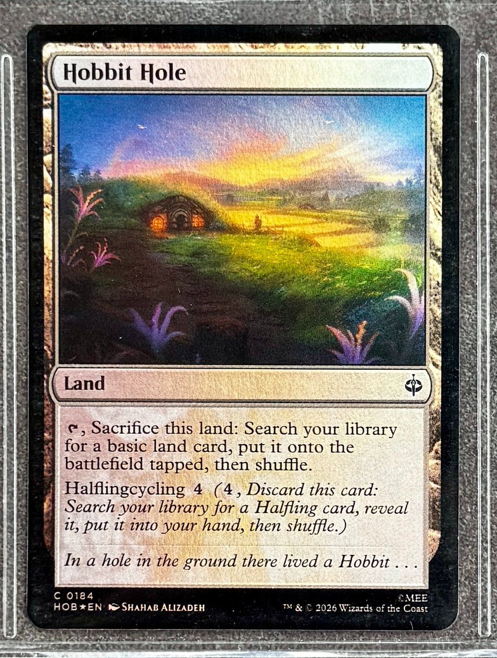 Magic The Gathering Carte collezionabili: The Hobbit Foil Commons 55stk. – Nuovo (secondo la descrizione) da Rechthalten venduto da hosme_be 6