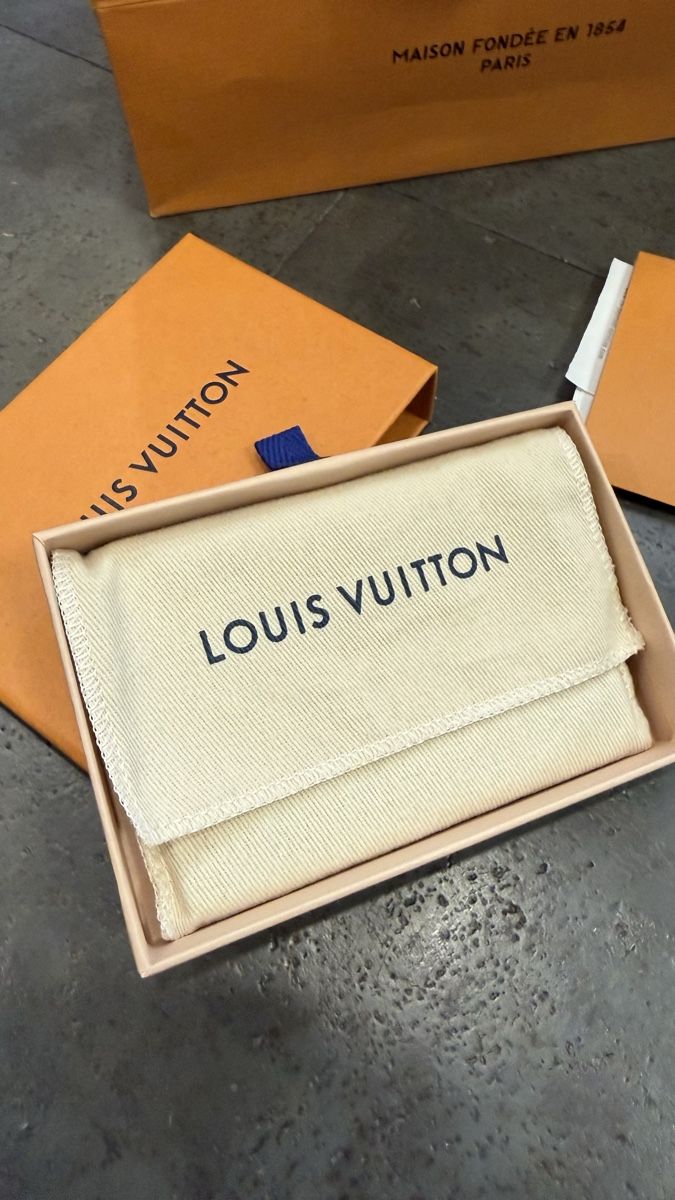 Louis Vuitton Portafogli: Original Louis Vuitton LV Taschenorganizer New Shadow Grau – Usato da Grub SG venduto da Crispin1990 4