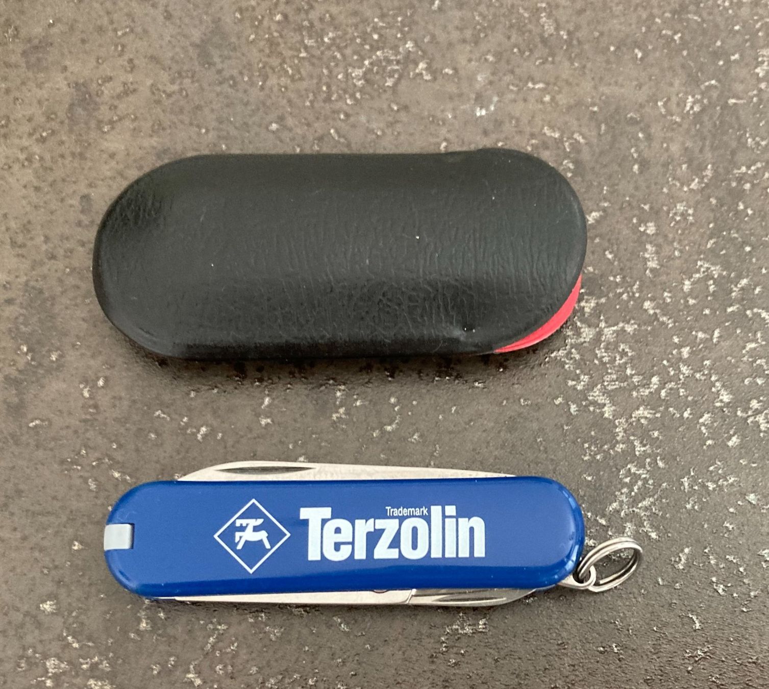 Victorinox Coltelli tascabile: Victorinox Taschenmesser – Usato da Riehen venduto da benni47