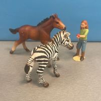 Schleich junges Zebra, Fohlen und Figur