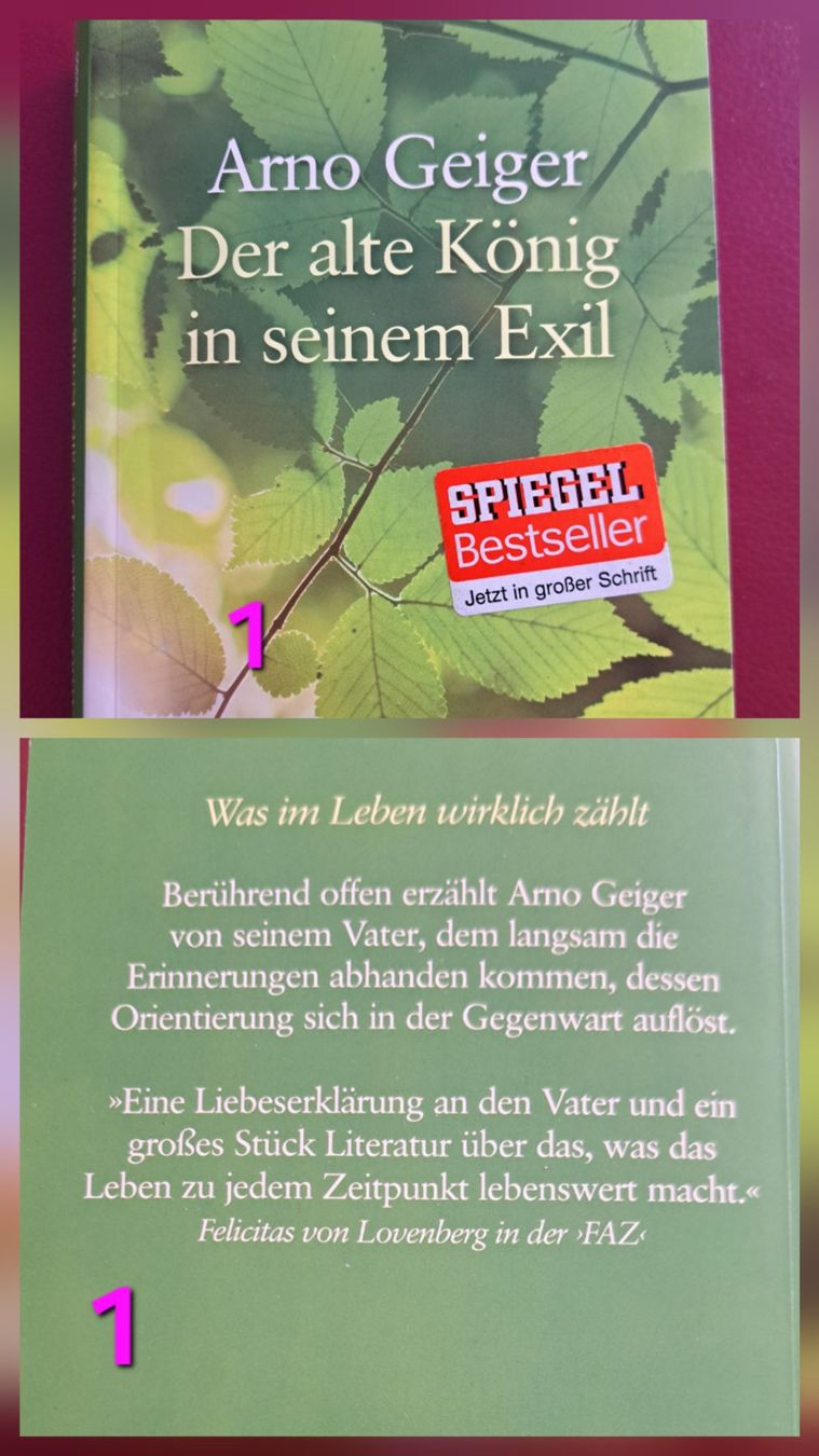Libri: 5 Bücher in grosser Schrift – Usato da Bellikon venduto da cebas23 1
