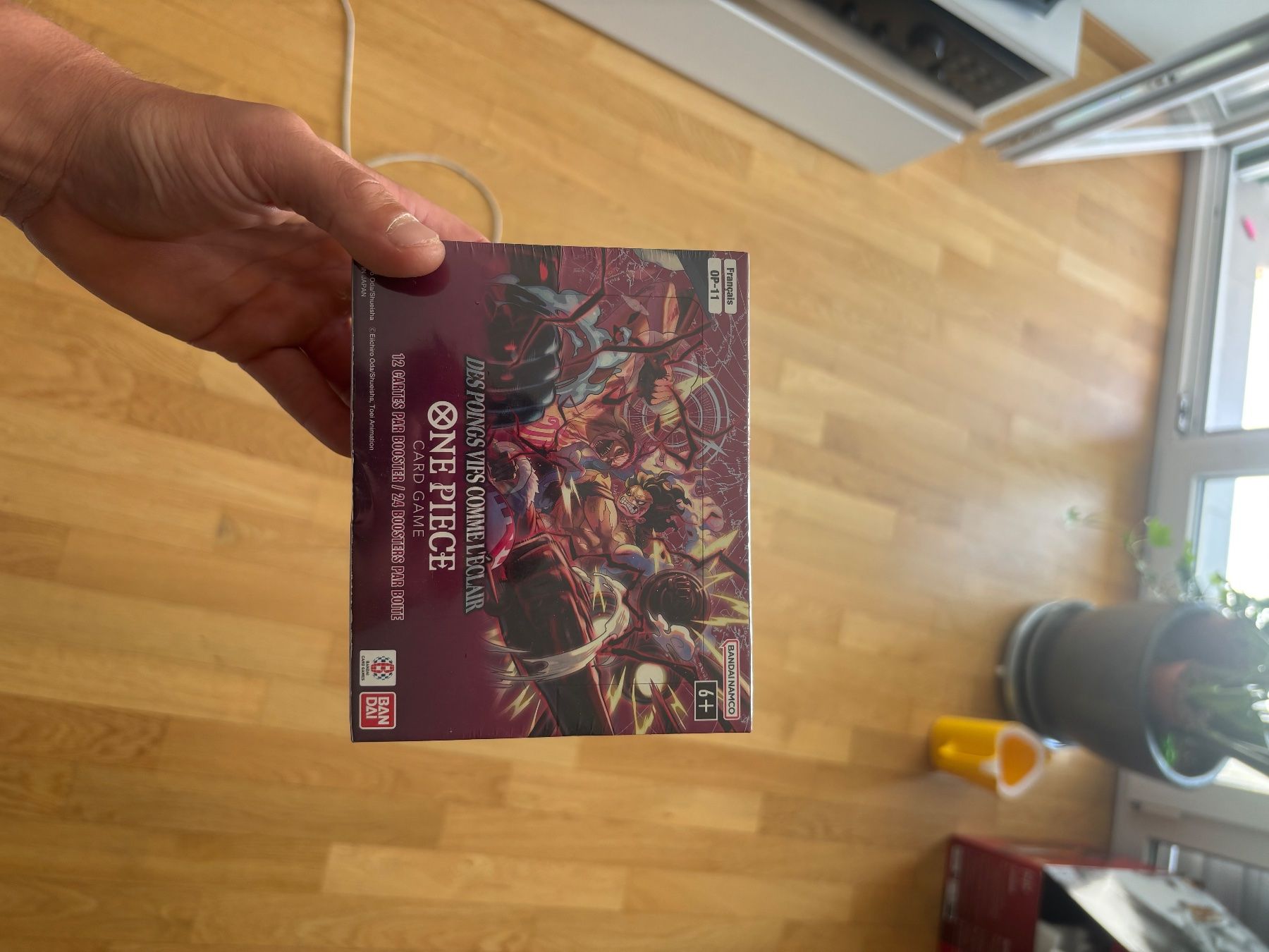 Carte collezionabili: Display op 11 fr – Nuovo e nell'imballaggio originale da Sion venduto da Pokexpert
