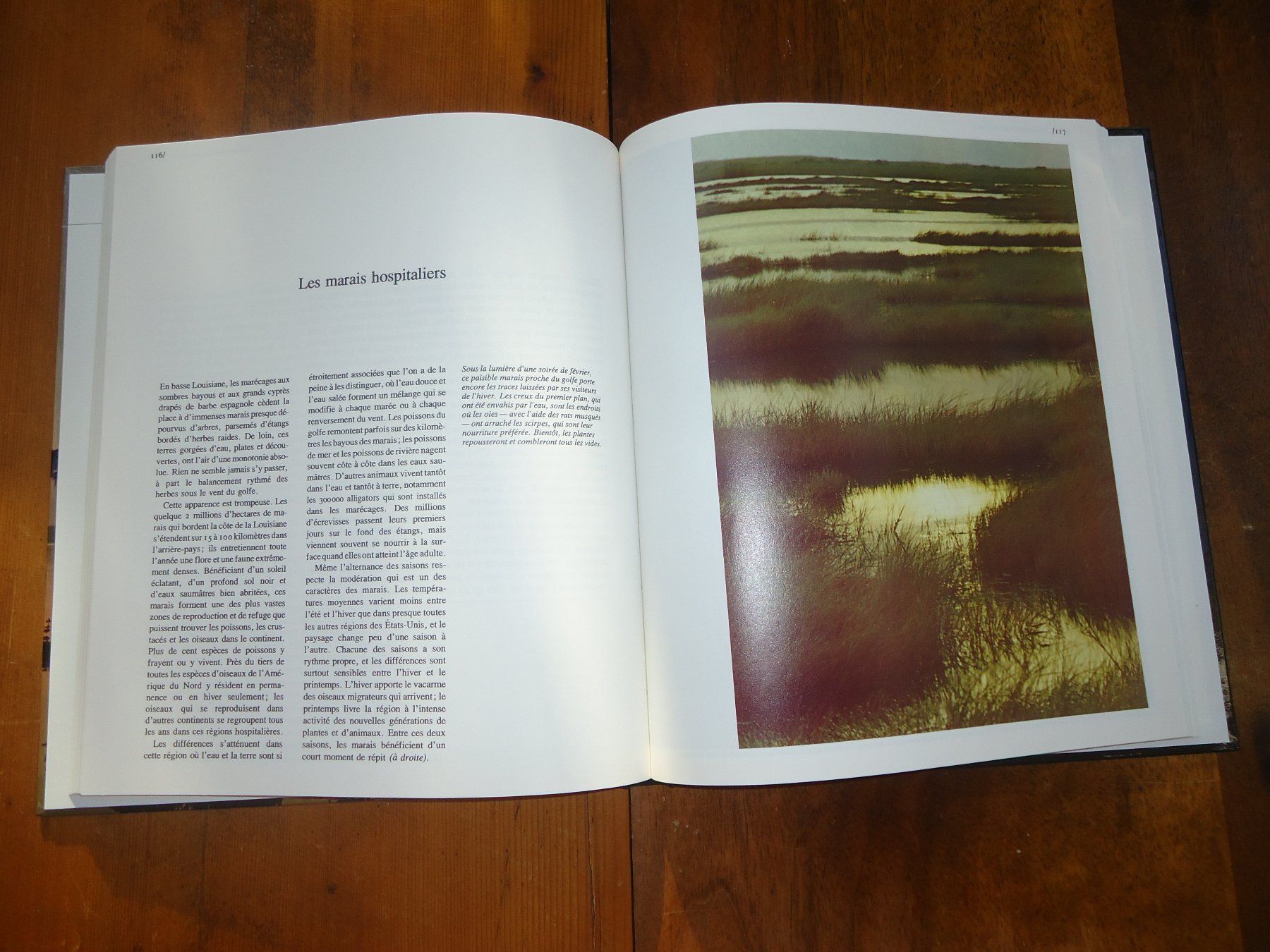 Libri: Les bayous de Louisiane – Usato da Vessy venduto da bm.par 2