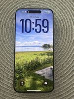 iPhone 15 pro max Titan Natur *sehr guter Zustand*