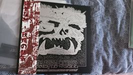 Warped Skull-Feverish...Vinyl LP Dungeon Synth 
