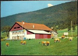 LE PÂQUIER Restaurant de la Vieille-Fontaine - Kühe