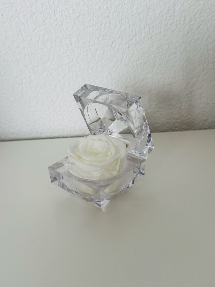 Alle Dekorationen: Weisse konservierte Rose in durchsichtiger Box – Neu (gemäss Beschreibung) aus Frutigen von _.Anja.B._