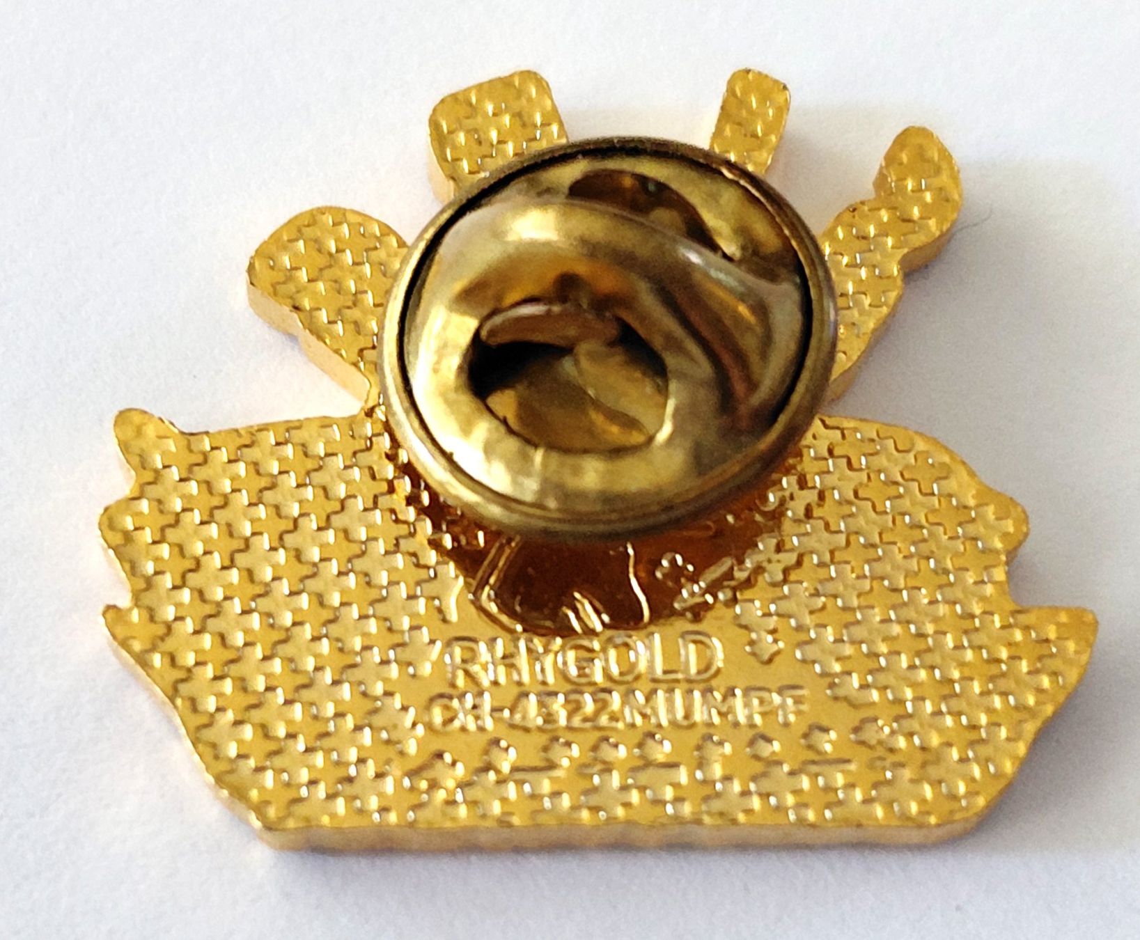 Placchette & Badge: PIN Schweizerische Lebensrettungs-Gesellschaft – Usato da Luzern venduto da qualifair 1