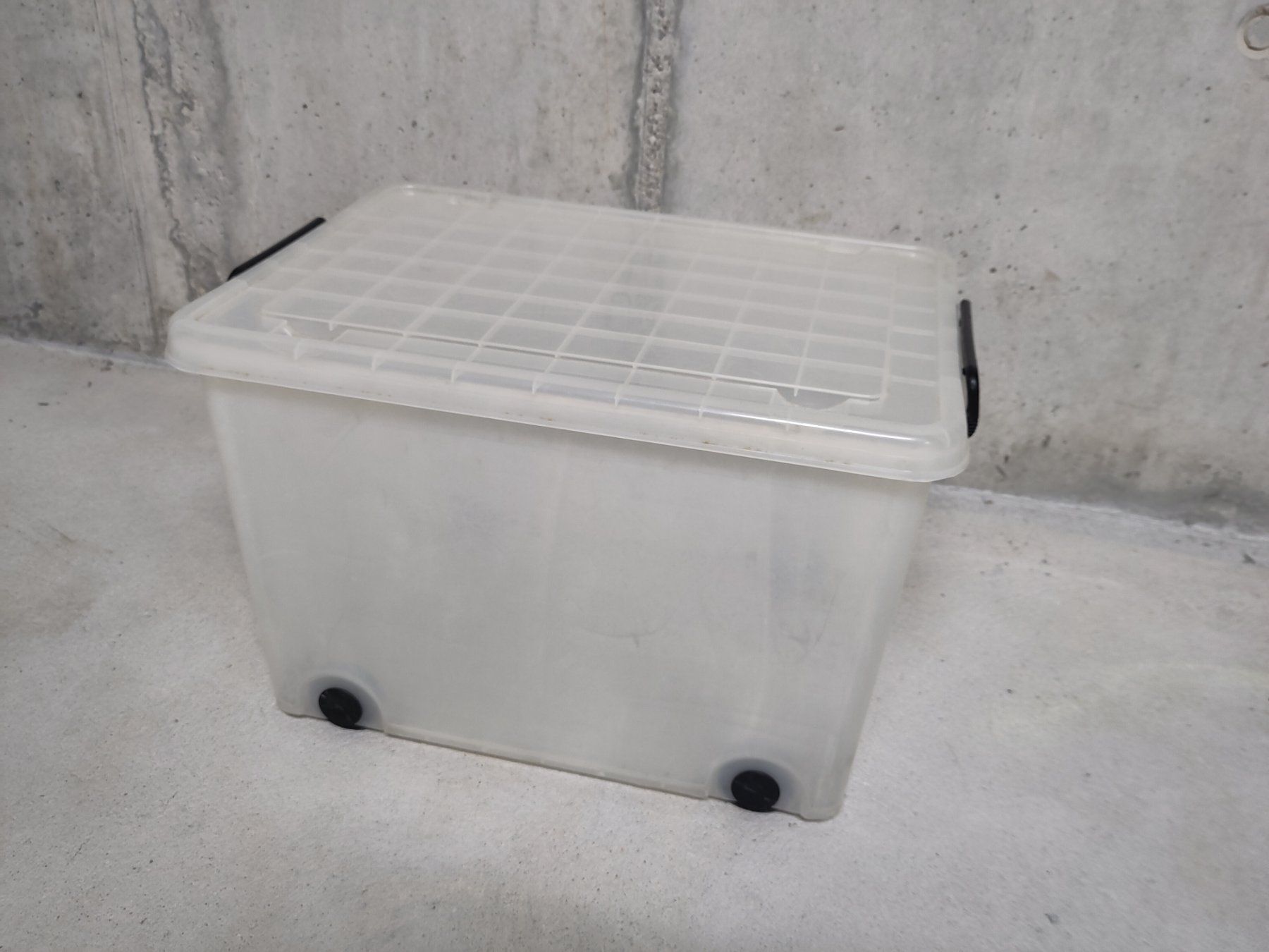 Casse di trasporto: Kunststoffbox transparent mit Rollen, stapelbar – Usato da Bern venduto da zahack