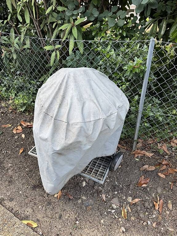 Griglie: Barbecue Weber – Usato da Vandoeuvres venduto da mai_g6lj 2