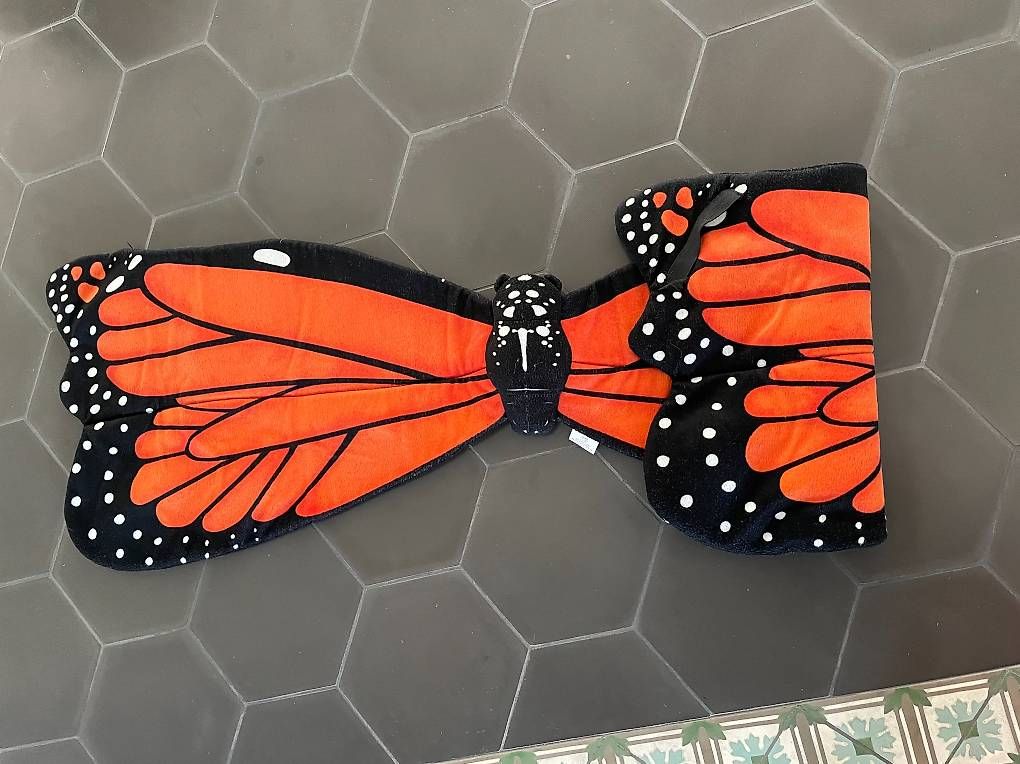Kostüme: schmetterling flügel kostüm – Gebraucht aus Rapperswil SG von watsup99