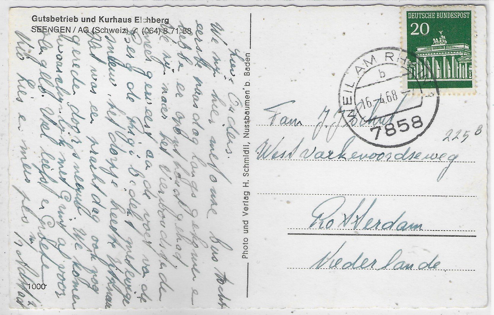 Ansichtskarten: Blick vom Eichberg auf Hallwilersee - Kühe – Gebraucht aus Ettingen von Kartenplanet 1