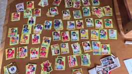 Panini WM 2026 - ca. 260 St.
