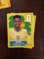 Panini Estêvão BRA 20 & viele mehr